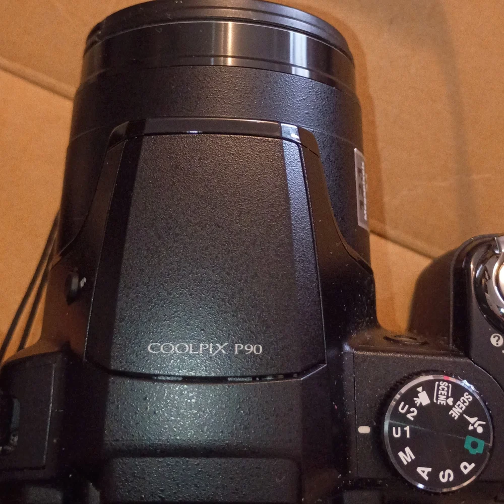 Nikon P90 Coolpix Digital Camera with Optical Zoom